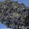 stolper_permeable-sandstone-oil-stain_20x-tn.jpg